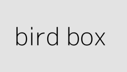 bird box 64df4fdfad17e